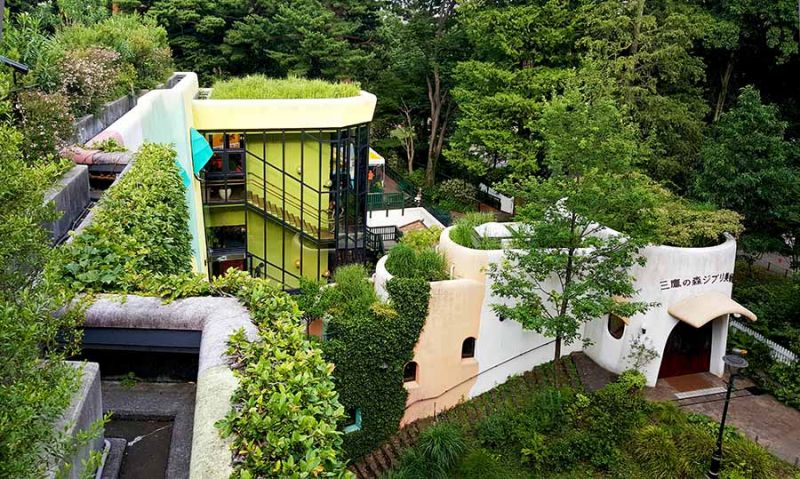 bào tàng Studio Ghibli gây quỹ duy trì hoạt động mùa COVID bào tàng Studio Ghibli gây quỹ duy trì hoạt động mùa COVID
